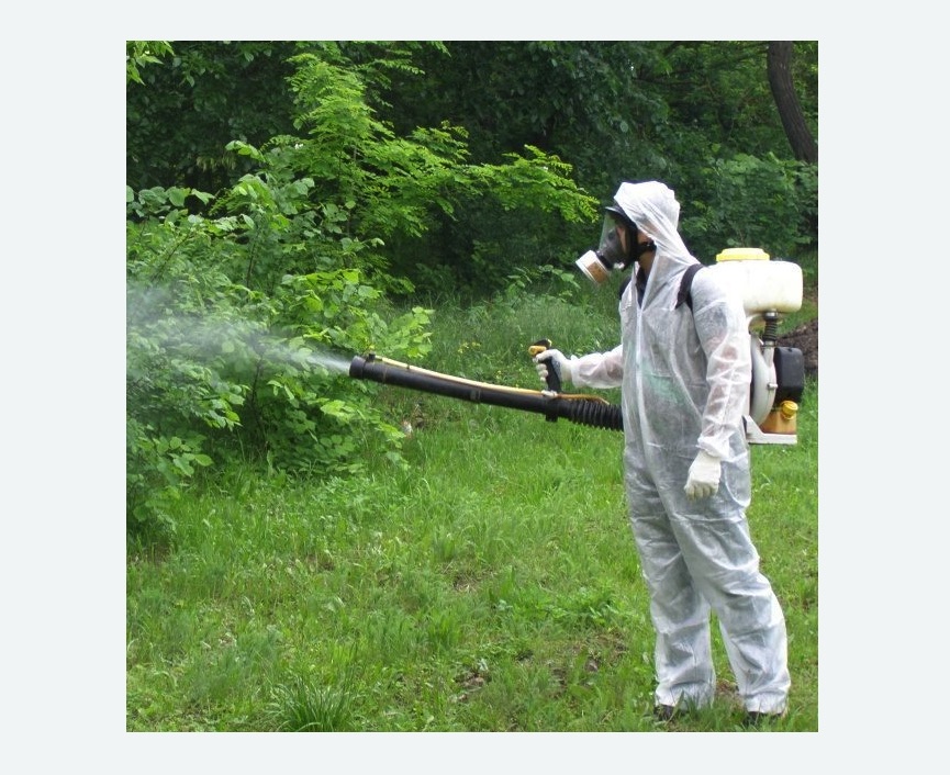 обработка территории от клещей в Дубовке