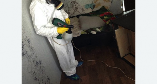 Обработка квартир от насекомых в Дубовке