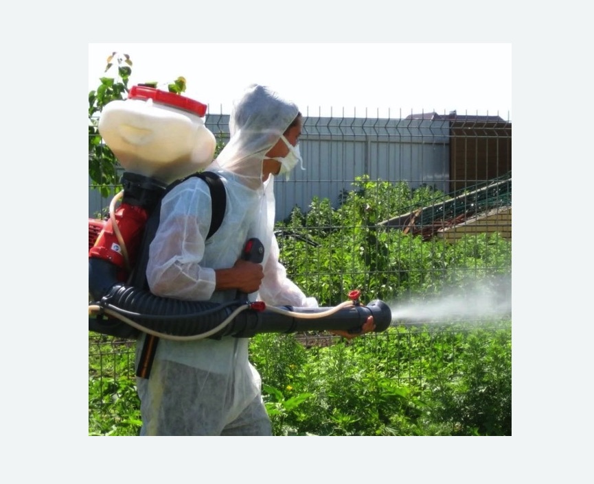 Акарицидная обработка территории в Дубовке