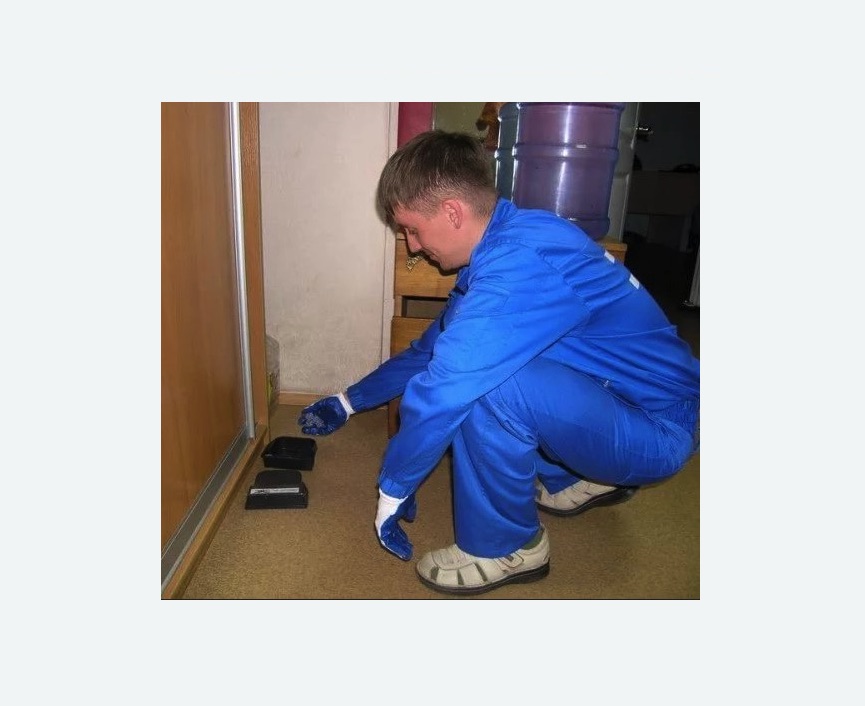 Дератизация крыс в Дубовке