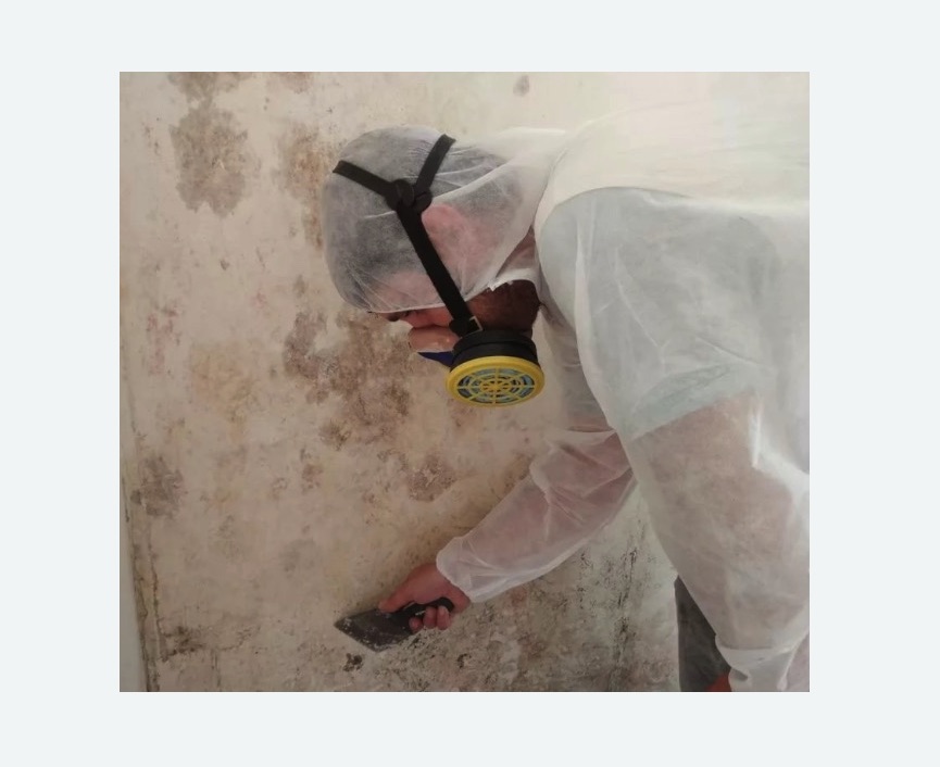Обработка стен от плесени в Дубовке