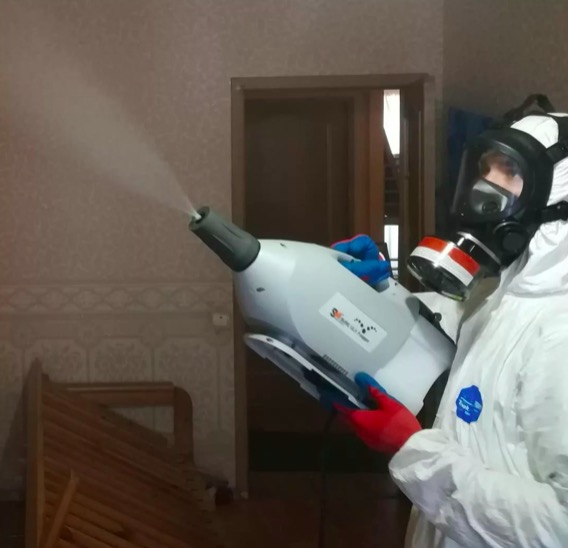 дезинсекция помещения в Дубовке