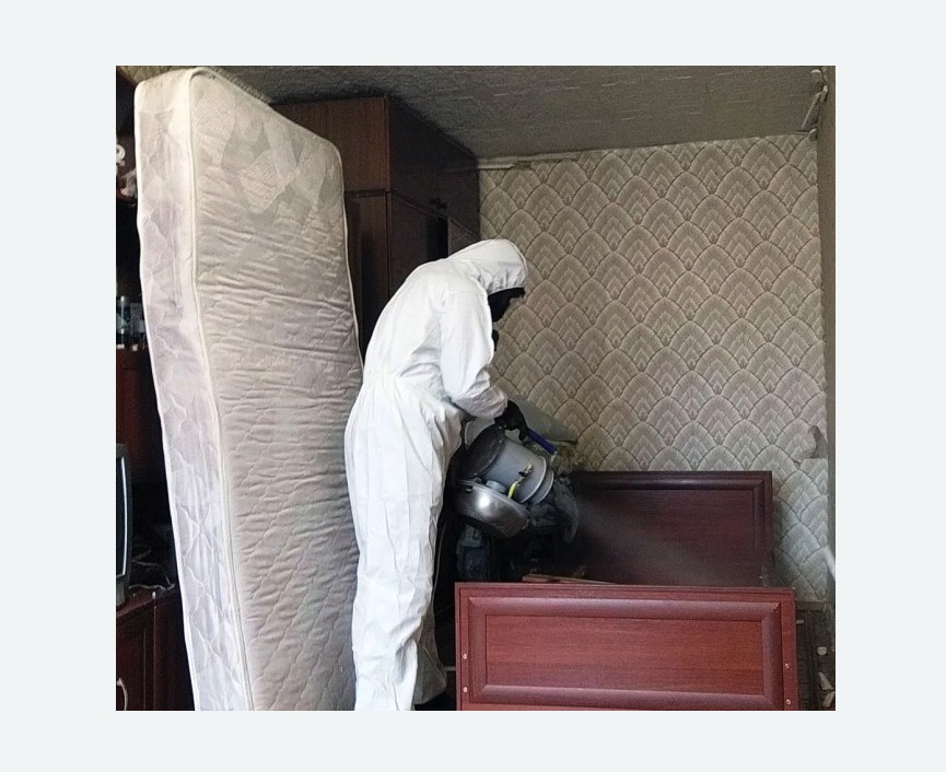 дезинфекция от клопов в Дубовке