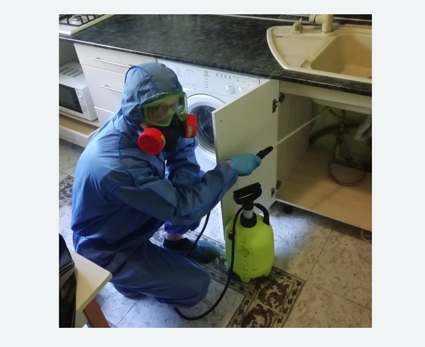 обработка от муравьев в квартире в Дубовке