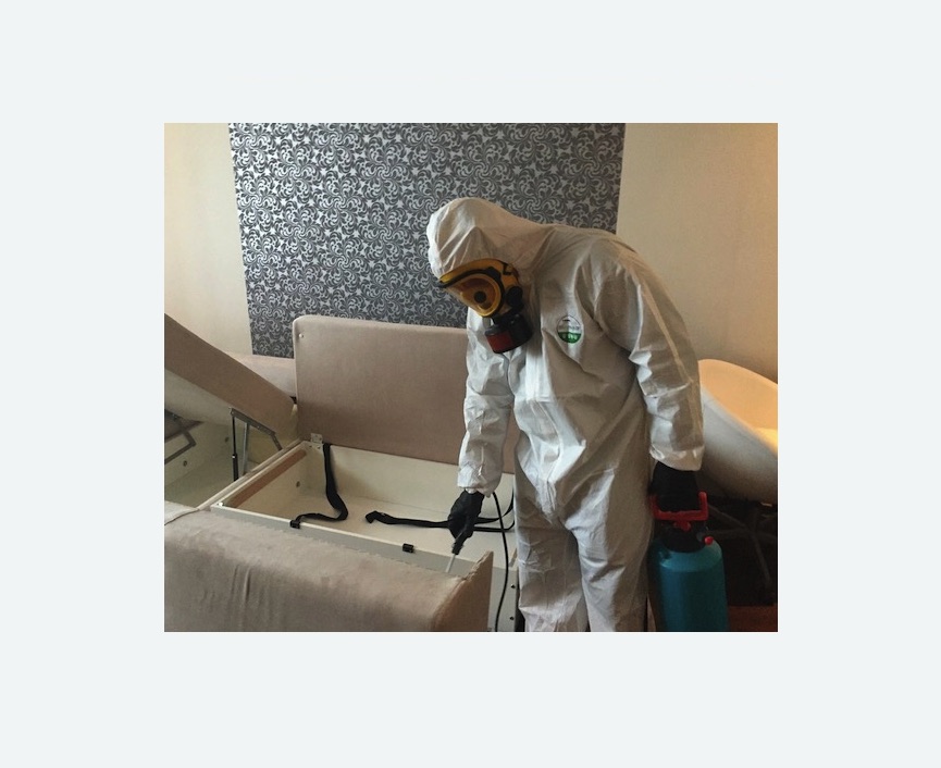 уничтожение клопов в квартире в Дубовке