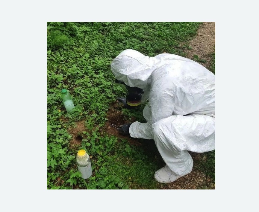 уничтожение кротов на участке в Дубовке