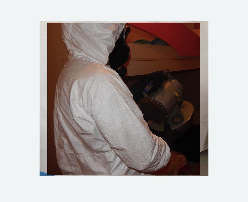 Дезинфекция от муравьев в Дубовке