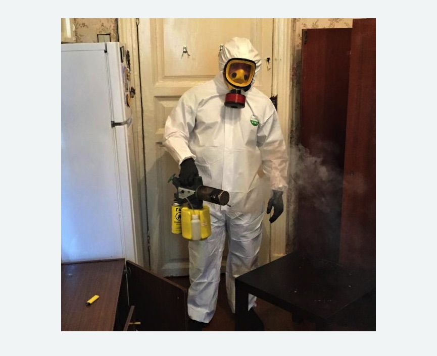 уничтожение муравьев в квартире в Дубовке